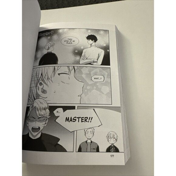 Love Is An Illusion Story & Art By Fargo Book #1 D42 - Picture 3 of 5